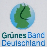 Günes Band